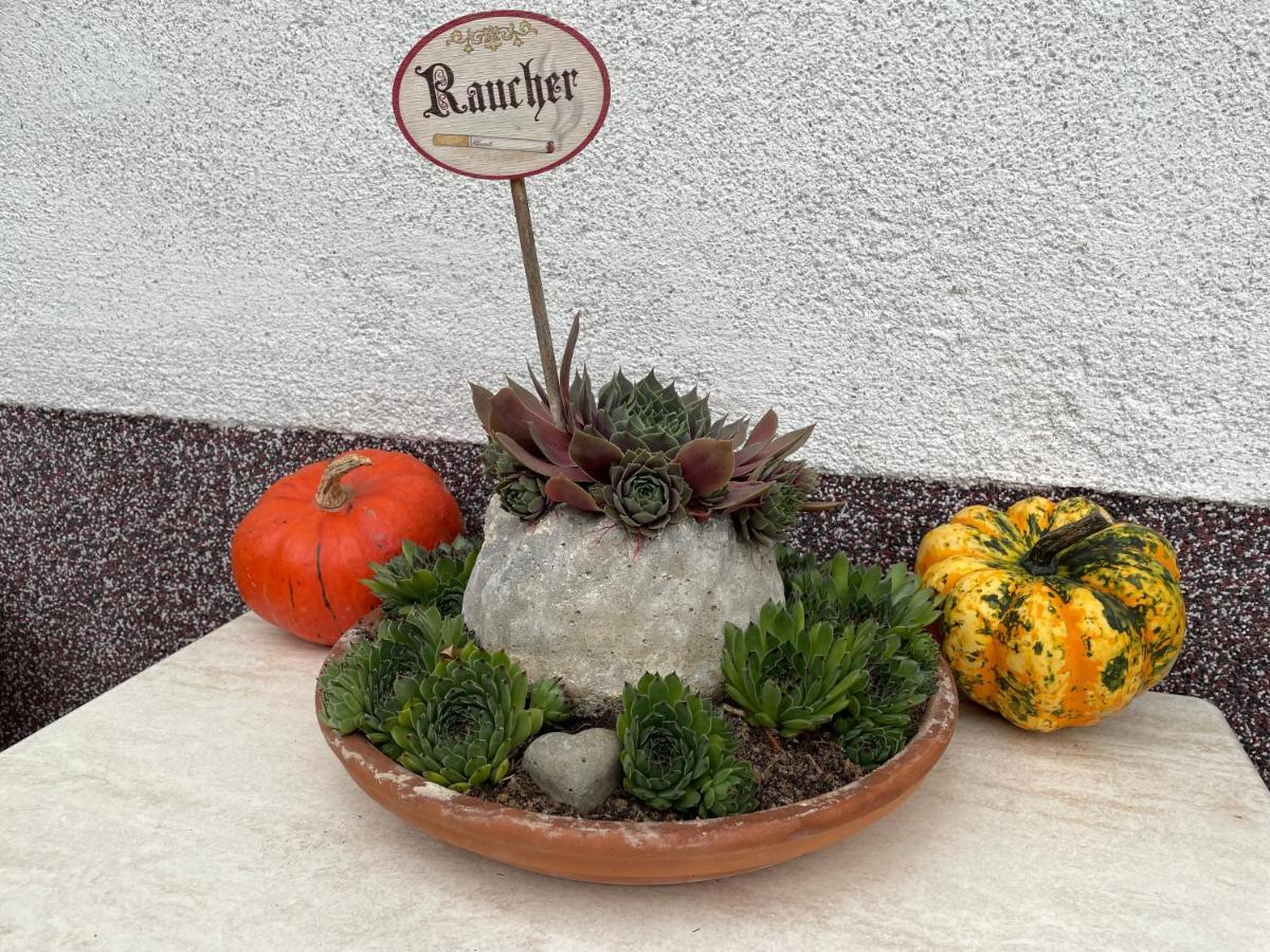 Ferienwohnung Sonnschein Bad Mitterndorf Zewnętrze zdjęcie